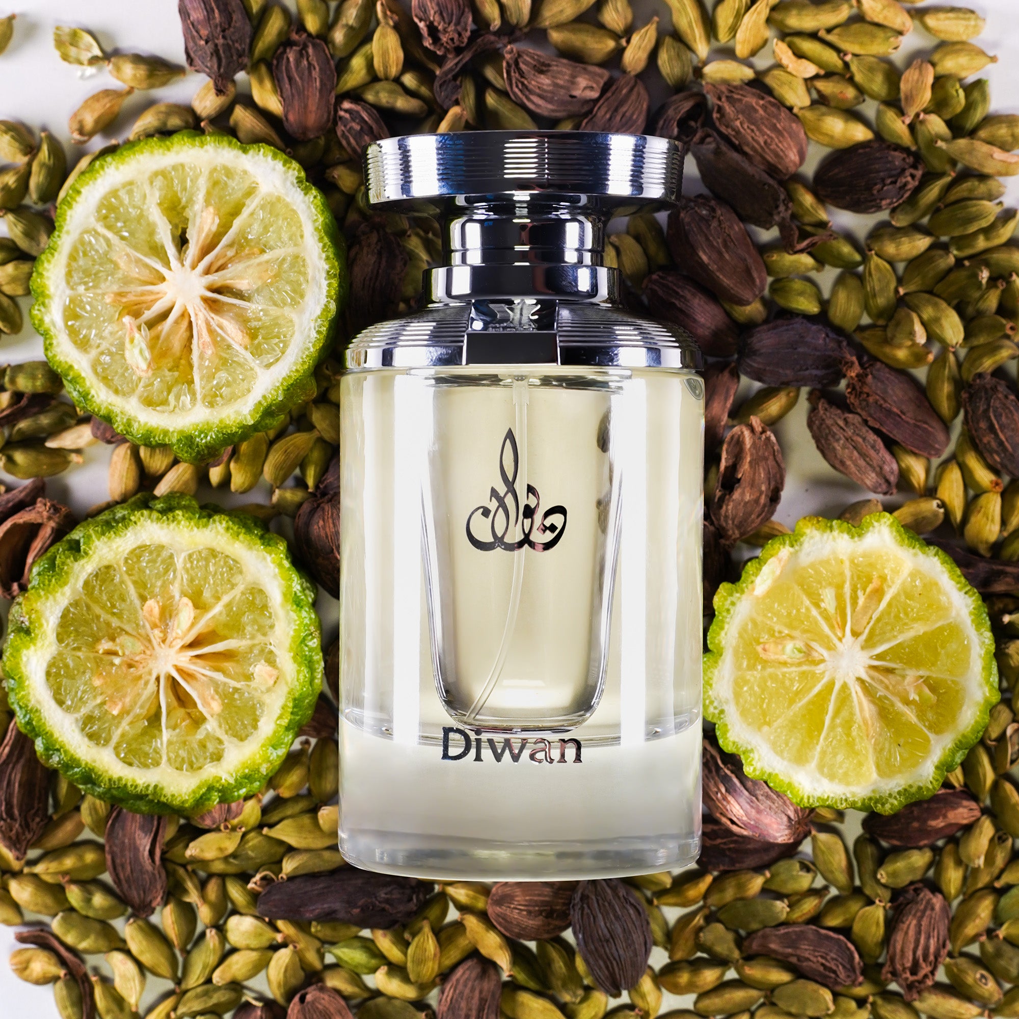ARABIAN OUD DIWAN Unisex parfémovaná voda 100 ml #2