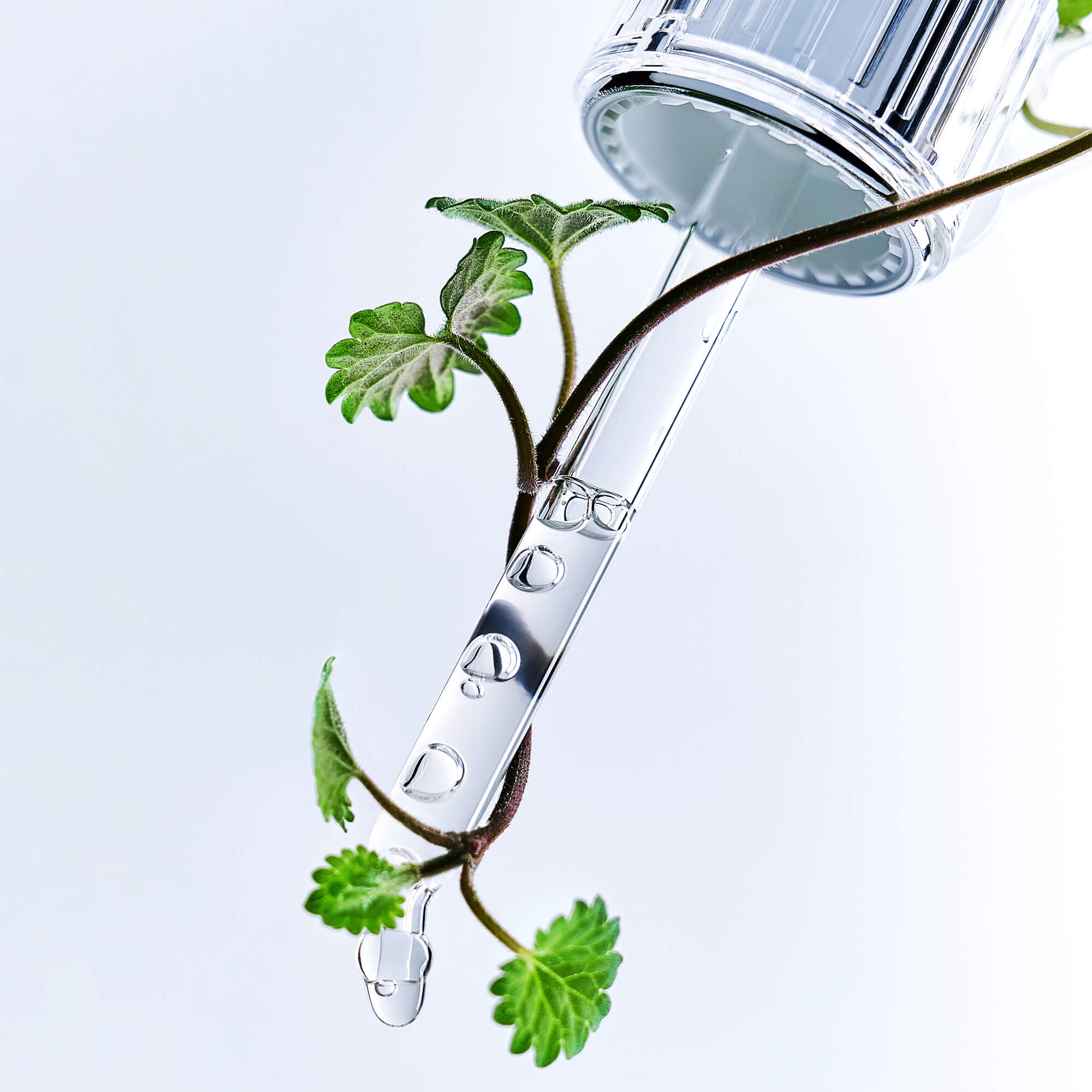 BRINGGREEN Zinc Teca Blemish Serum – Skoncentrowane serum do twarzy przeciw niedoskonałościom 25 ml #12