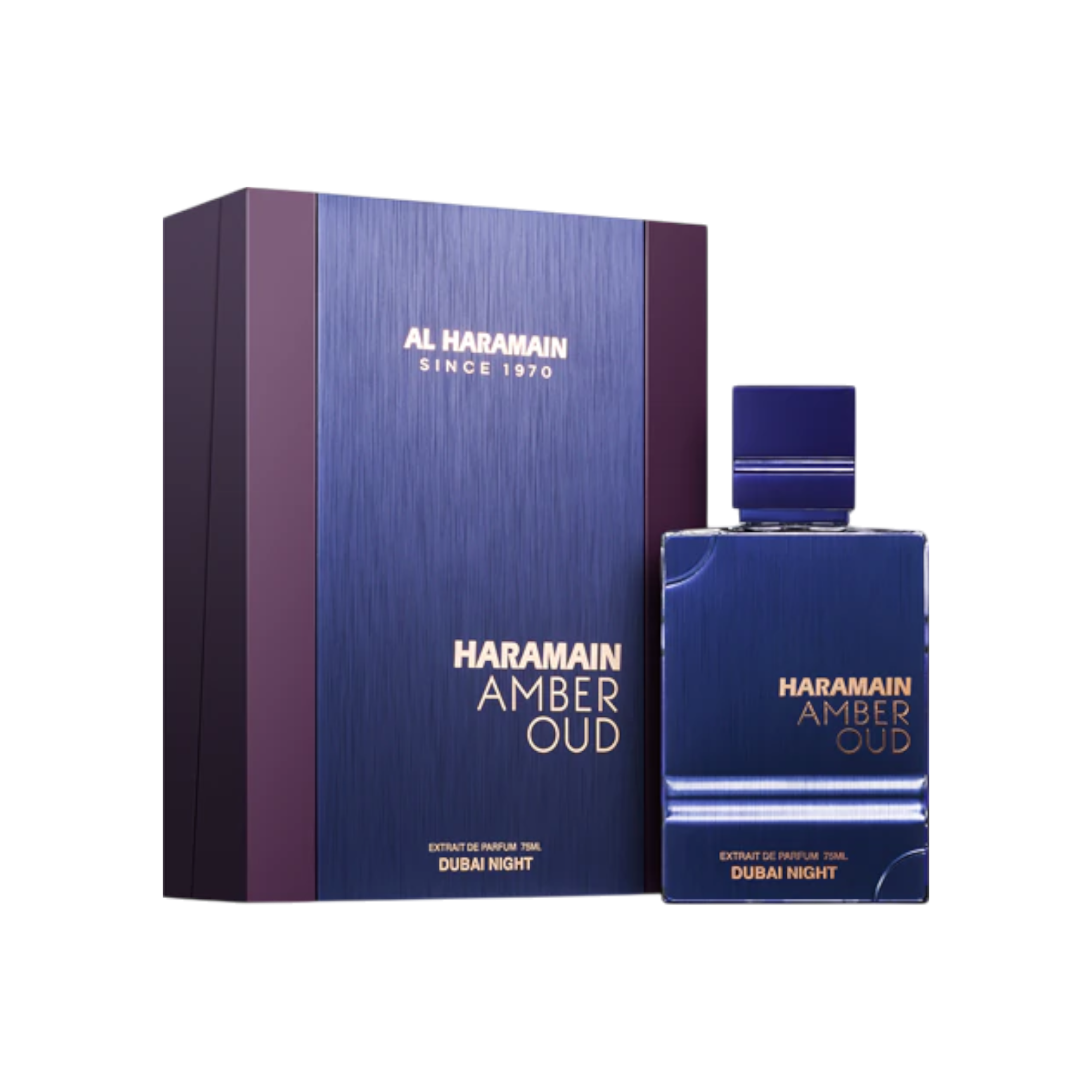 AL HARMAIN AMBER OUD DUBAI NIGHT parfémovaná voda pro muže 100 ml