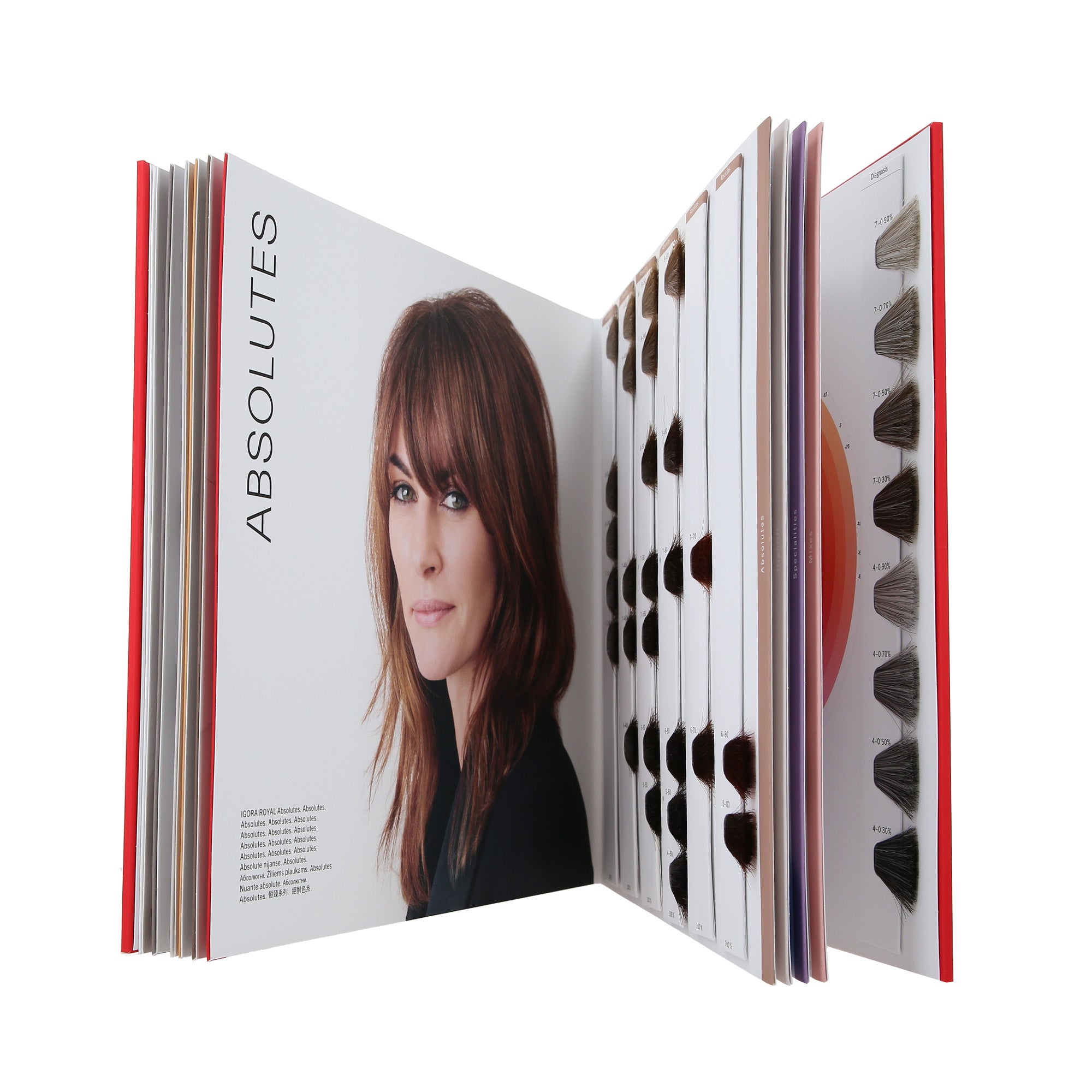 SCHWARZKOPF PROFESSIONAL IGORA ROYAL PREMIUM BOOK Paleta kolorów #5
