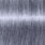 Grey Lilac