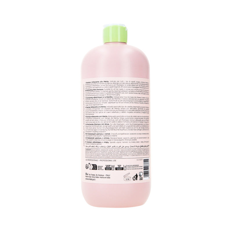 INEBRYA ICE CREAM FREQUENT Stark erfrischendes Haarshampoo 1000 ml #2