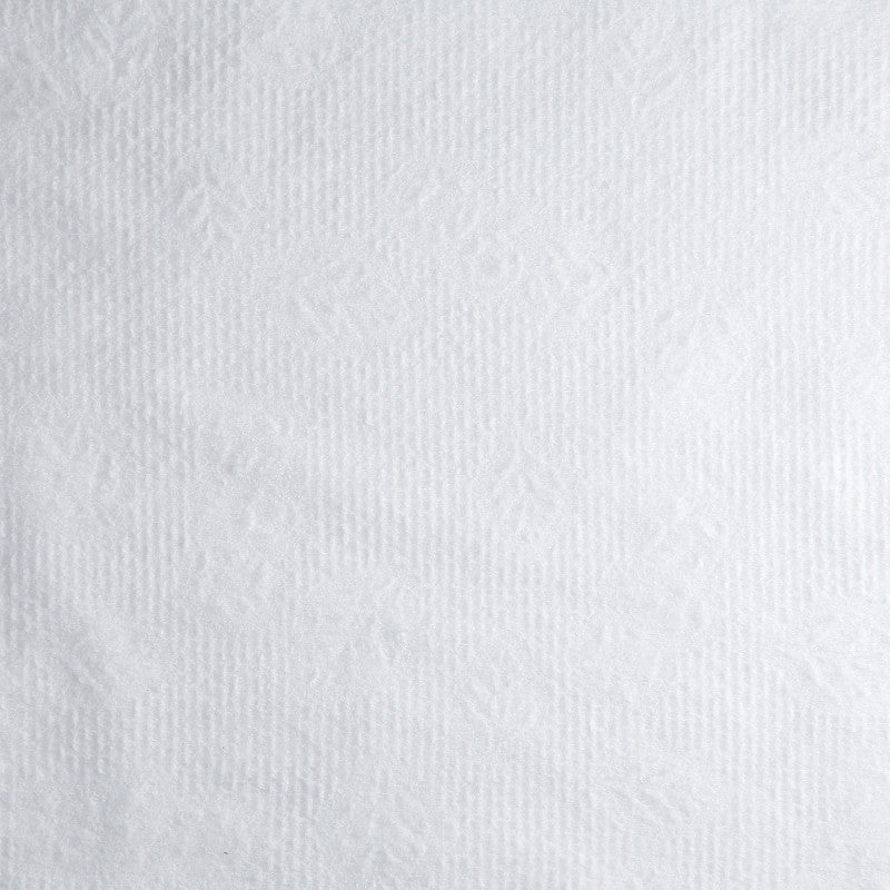 Ručníky z netkané textilie LUSSONI BIO-EKO, 70 cm x 50 cm, 100 ks. #2